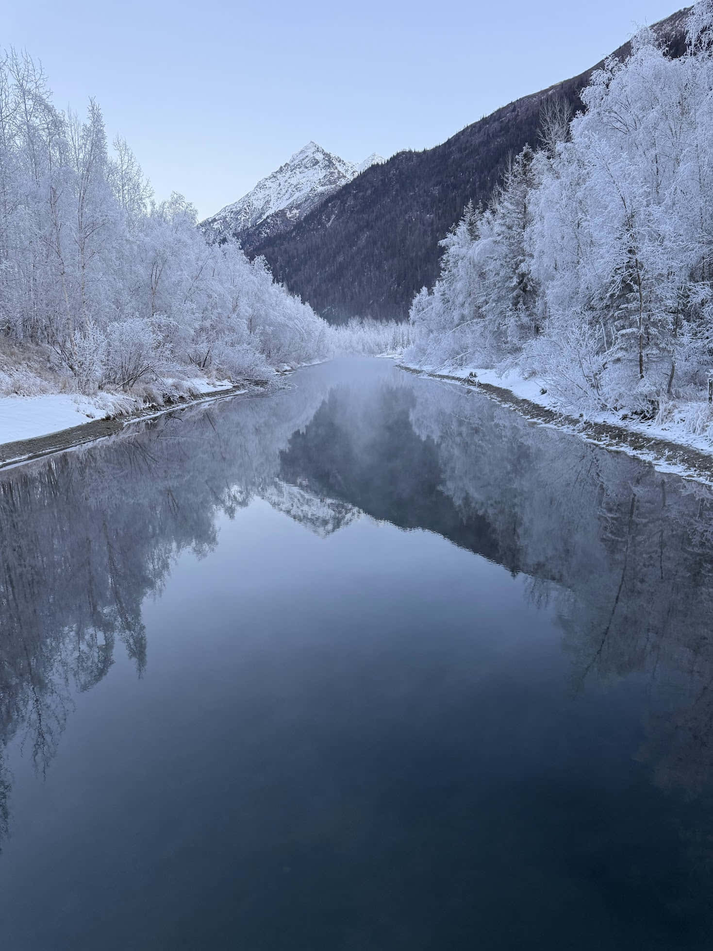 Шале «Бродячий лось» gallery 49