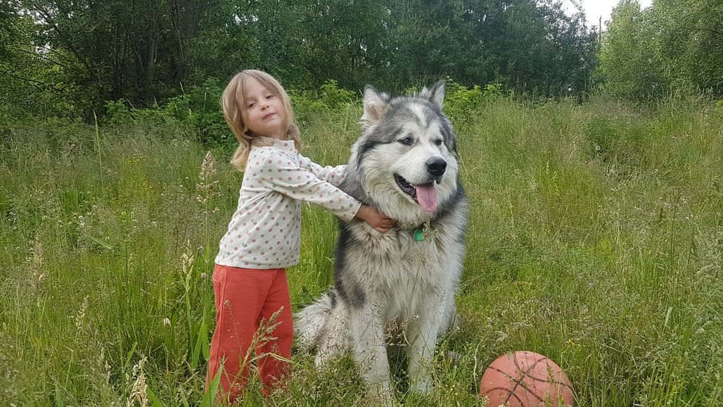 Летнее проживание info 1