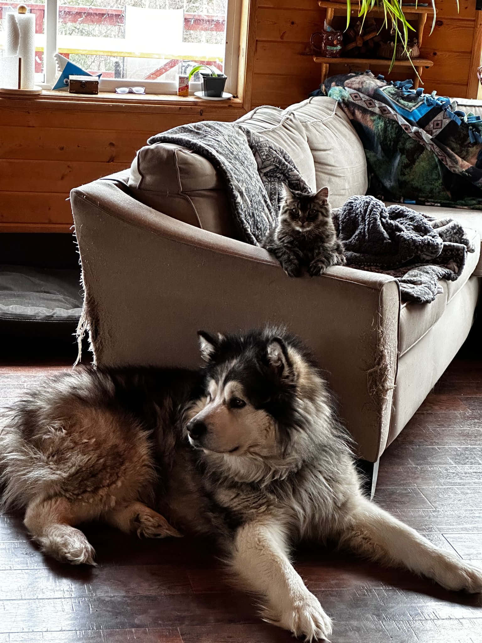 Летнее проживание info 2