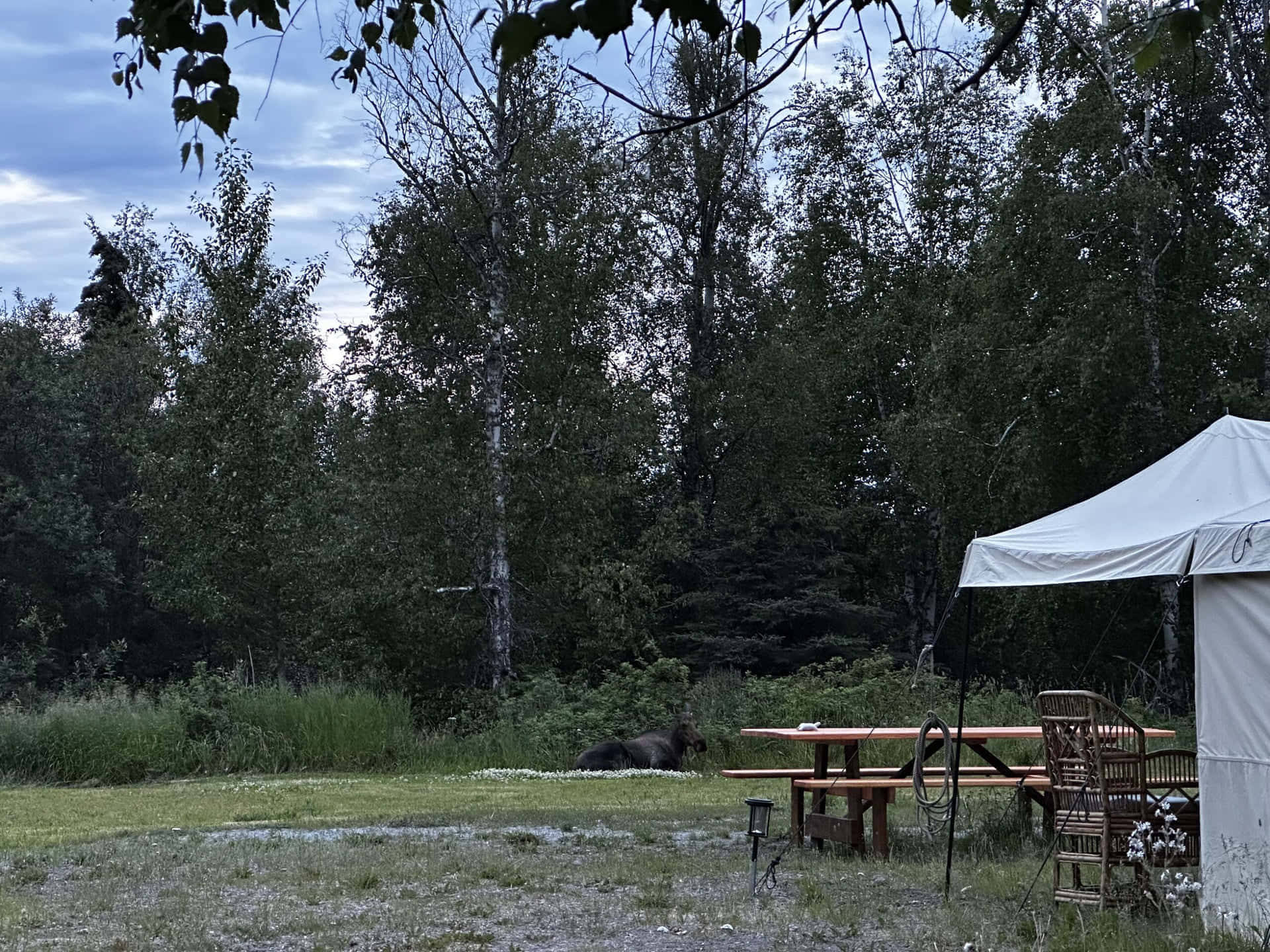 אוהל לשלושה gallery 8