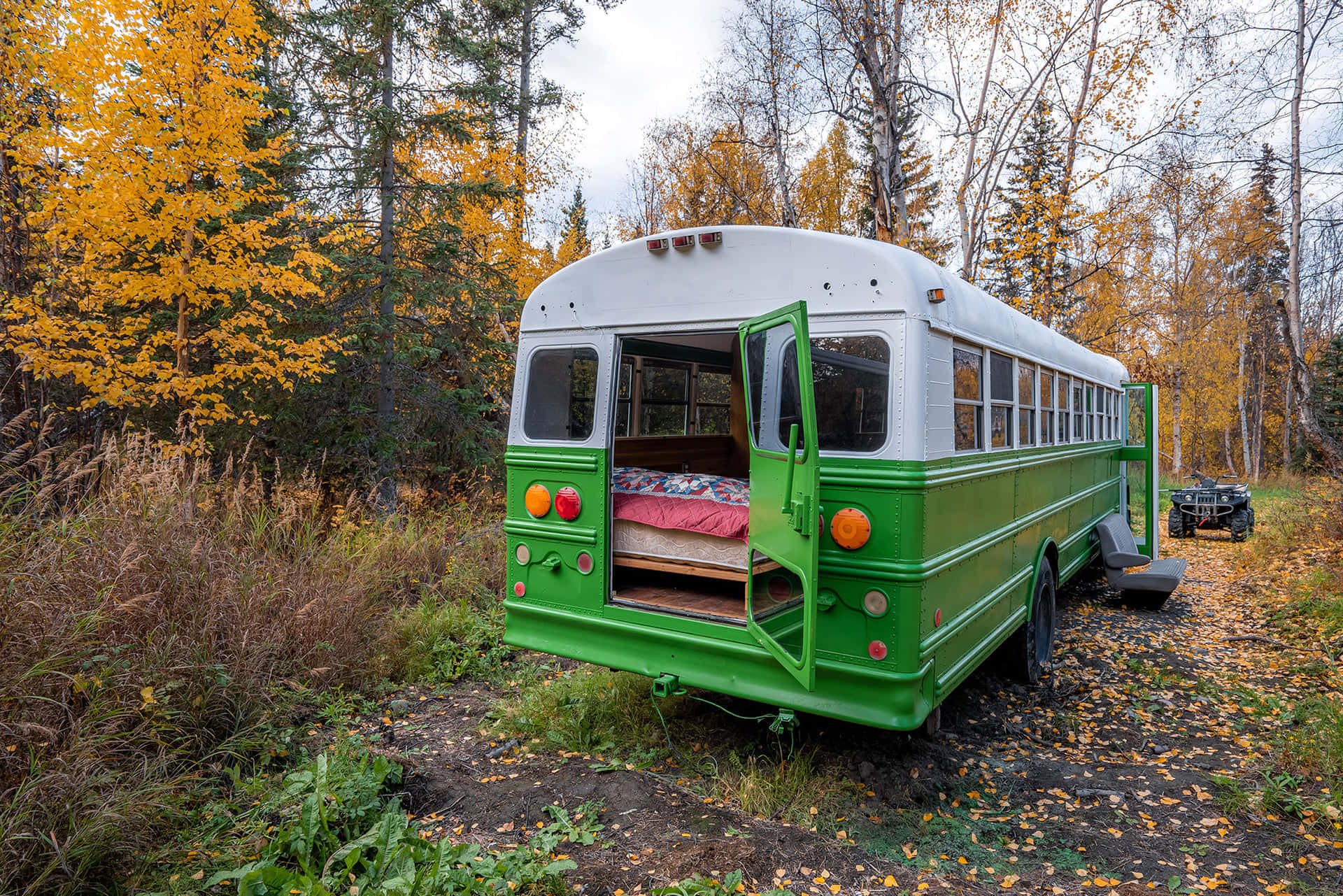 Magic Bus (1-4 people) gallery 8