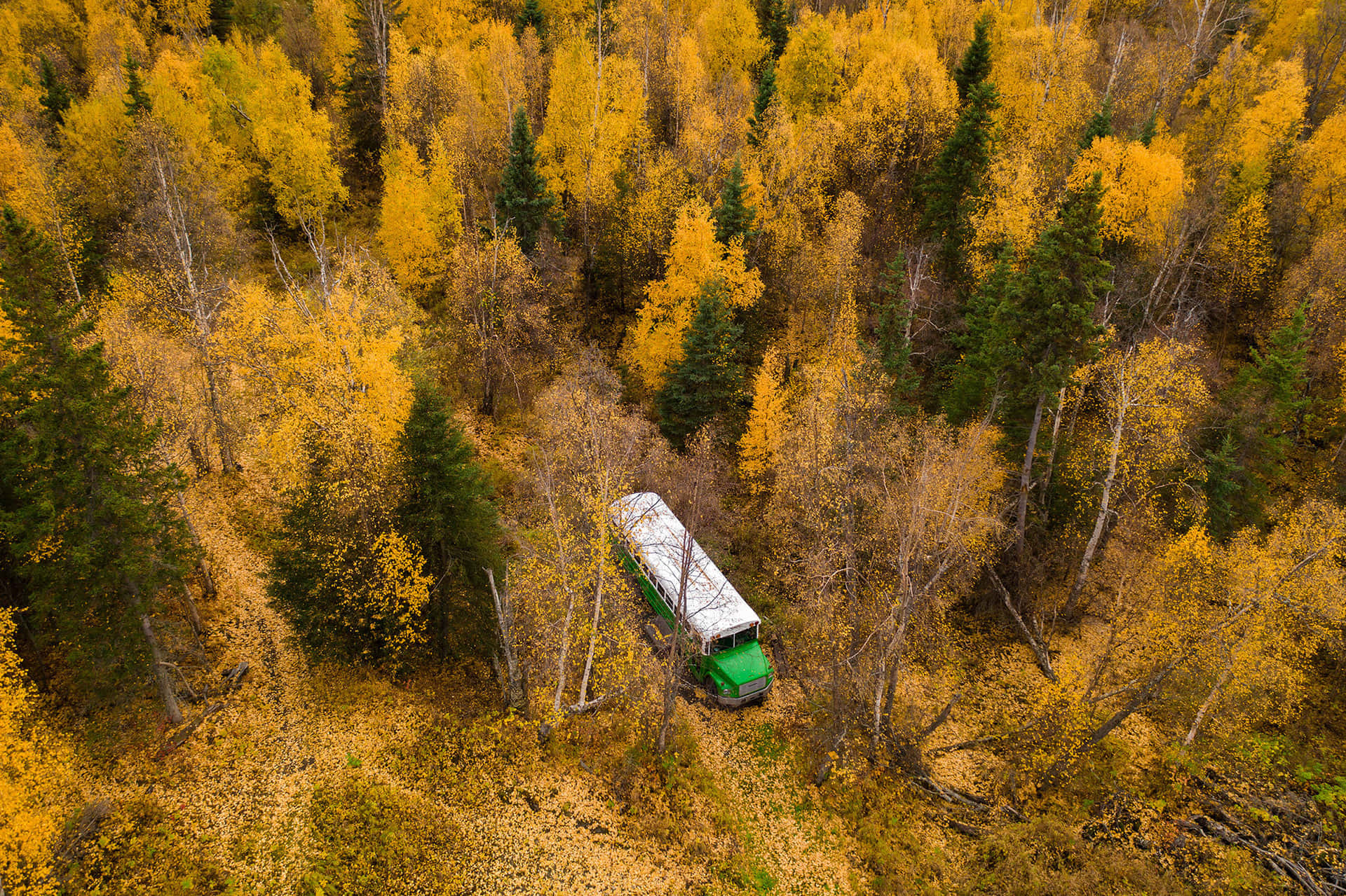 Magic Bus (1-4 people) gallery 2