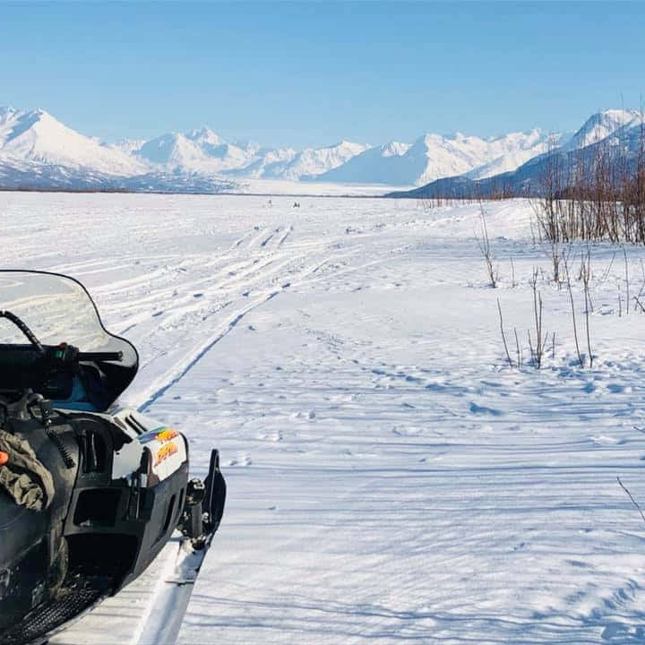 День на базе