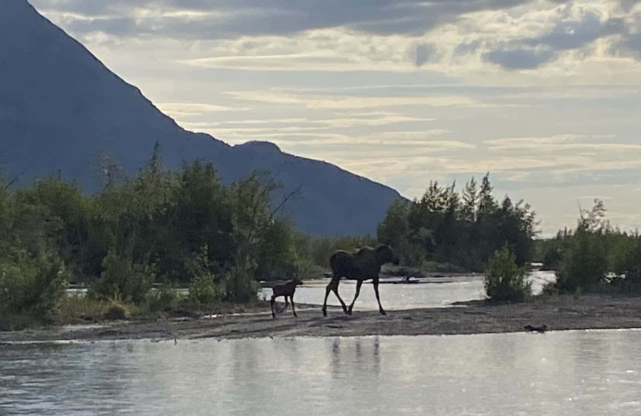 Поездка на багги (6-и местные UTV) к озеру с айсбергами - 7