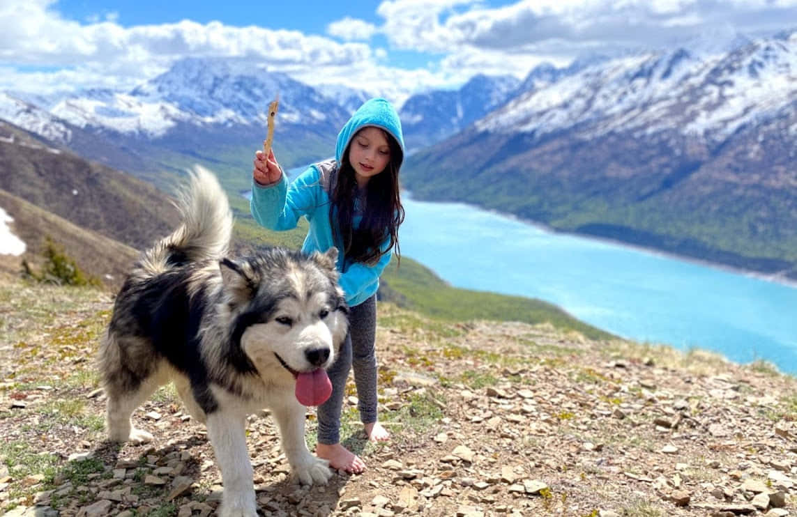 Поход на один день