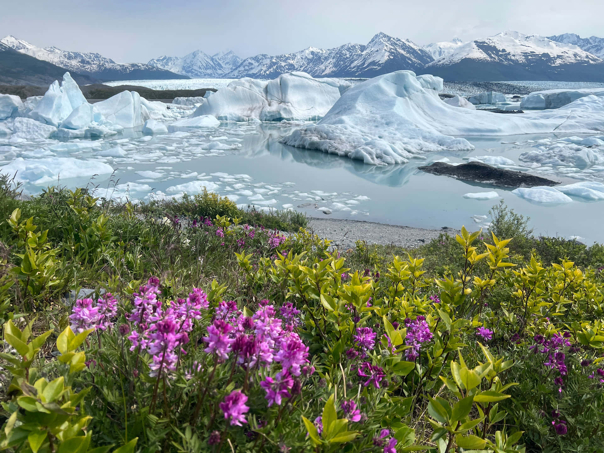 נוף נהר קיץ באלסקה — Alaskan Adventure Haven