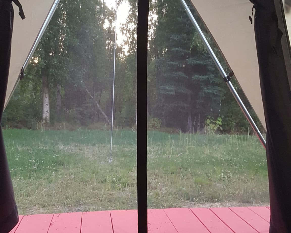 Аляска за 6 дней - 7