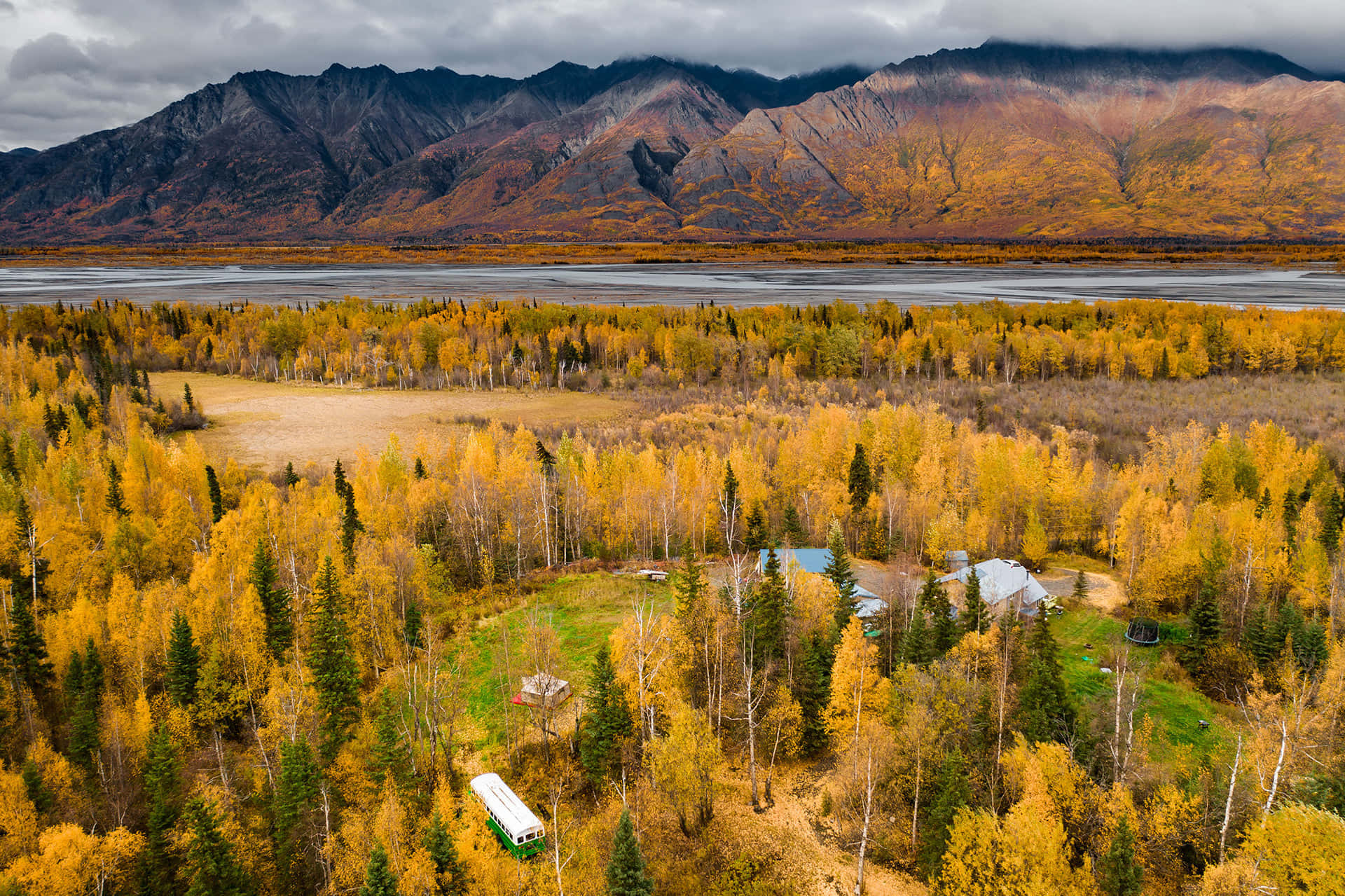 Золотая осень 2026 - 1